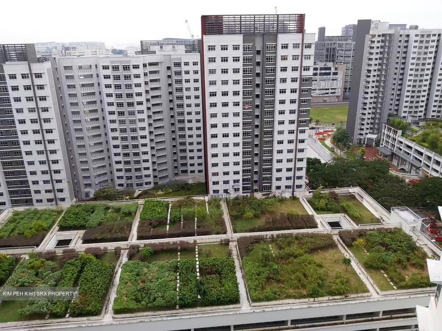 Blk 138D Lake Vista @ Yuan Ching (Jurong West), HDB 3 Rooms #570229121